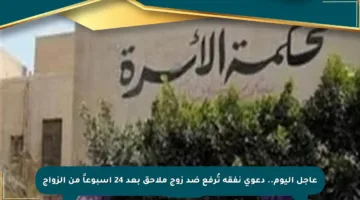عاجل اليوم.. دعوى نفقة تُرفع ضد زوج ملاحق بعد 24 أسبوعاً من الزواج